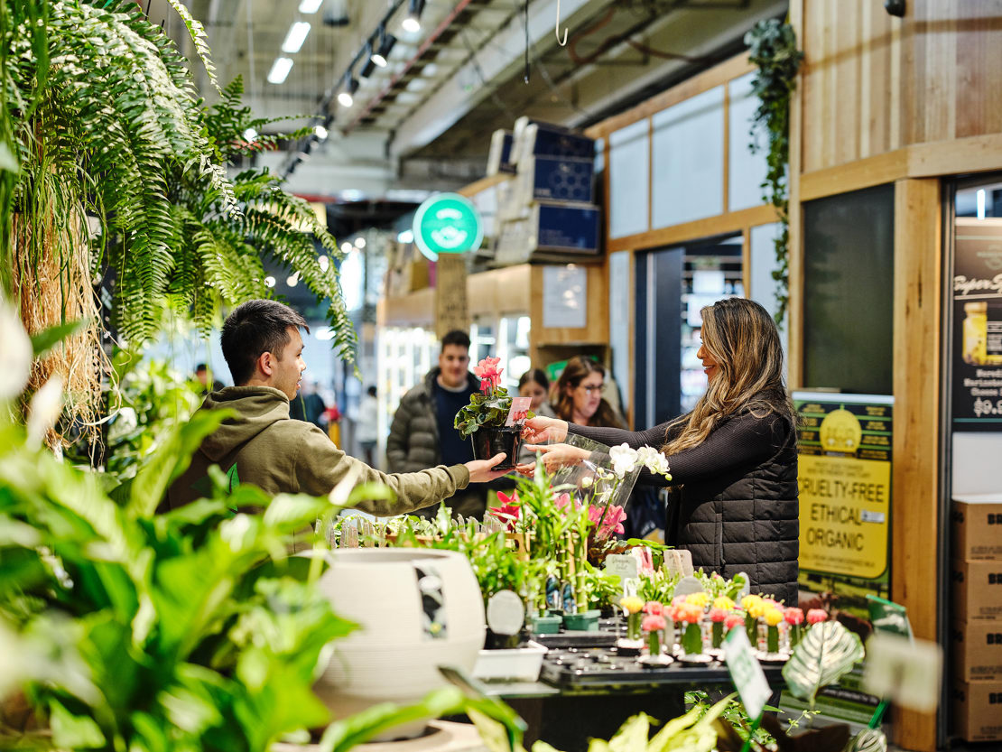 Getting To Know Ben From Greener Corner! South Melbourne Market