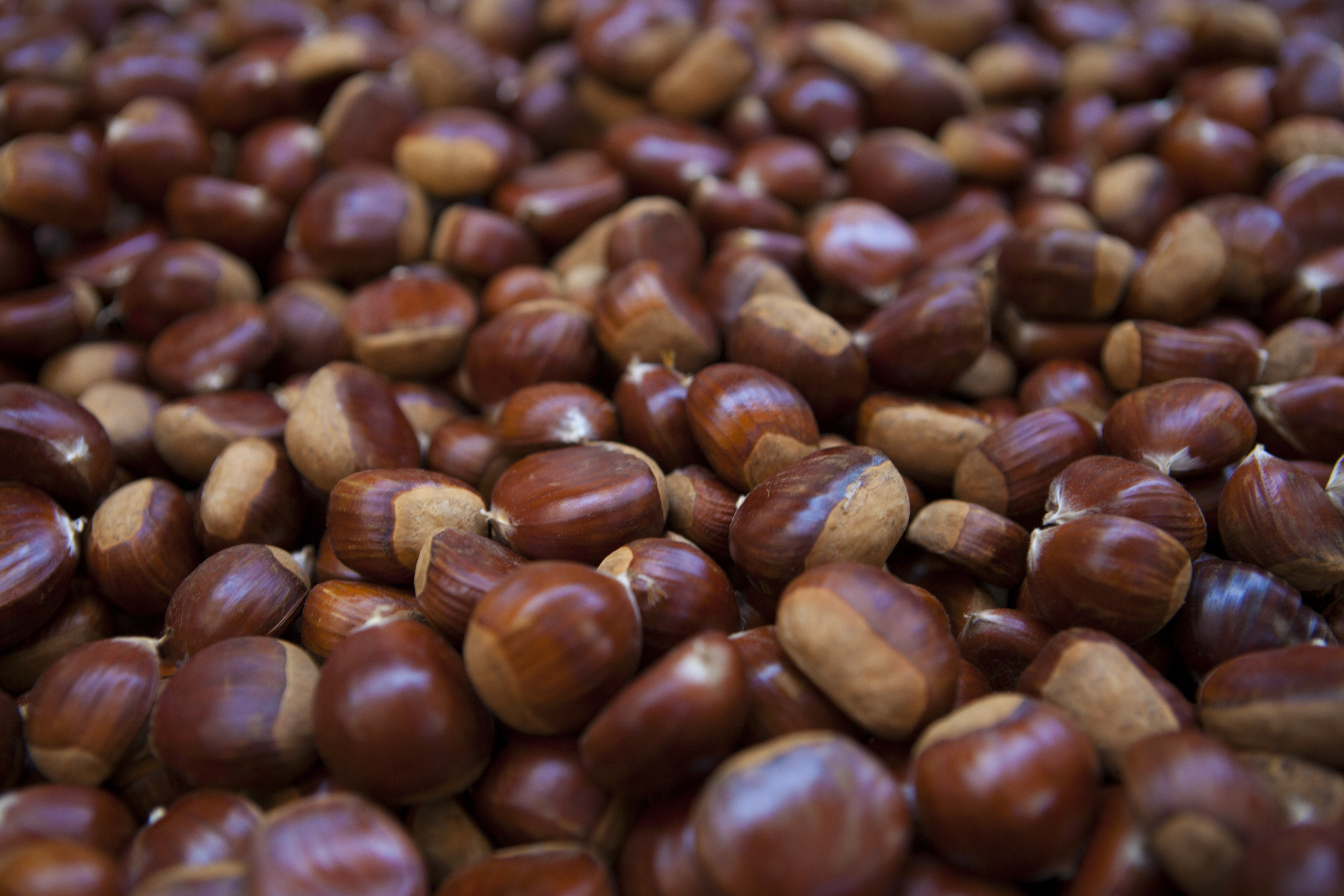 Taste, learn and leave confident to recreate chestnut season at home this autumn.